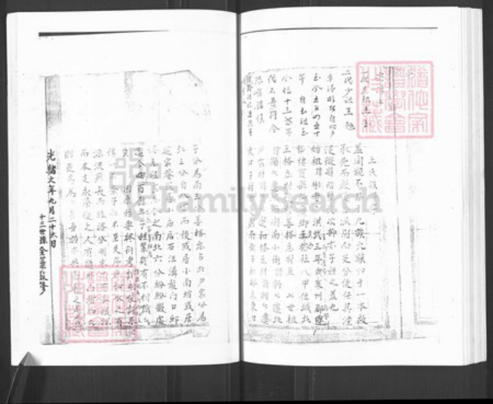 山东省烟台市栖霞市王氏族谱-栖霞王氏族谱.pdf电子版预览图2