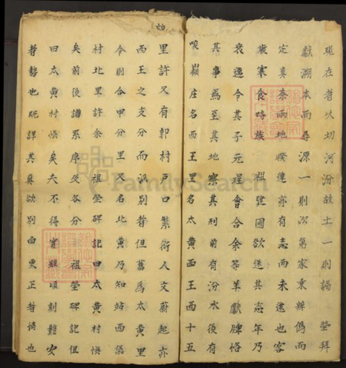 山西省王氏族谱-王氏宗谱.pdf电子版插图2