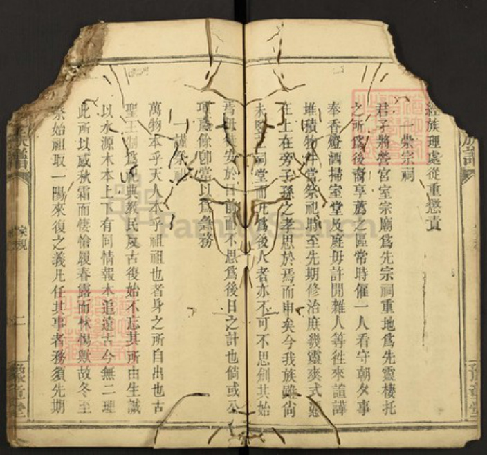 江西省罗氏族谱-罗氏族谱.pdf电子版插图2 江西省罗氏族谱-罗氏族谱.pdf电子版插图2