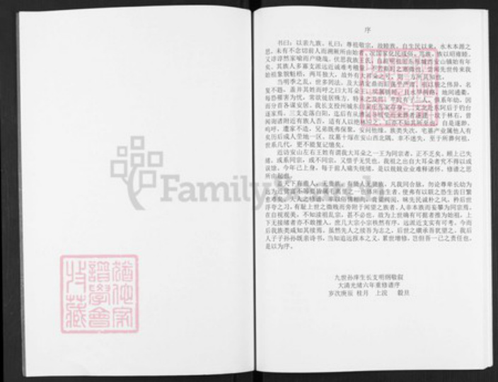 山东省泰安市东平县州城街道王氏族谱-王氏族谱.pdf电子版插图2