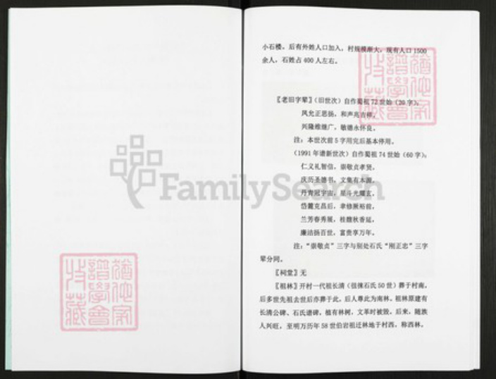 山东省枣庄市滕州市石氏族谱-鲁南滕州市大石楼村石氏.pdf电子版插图2