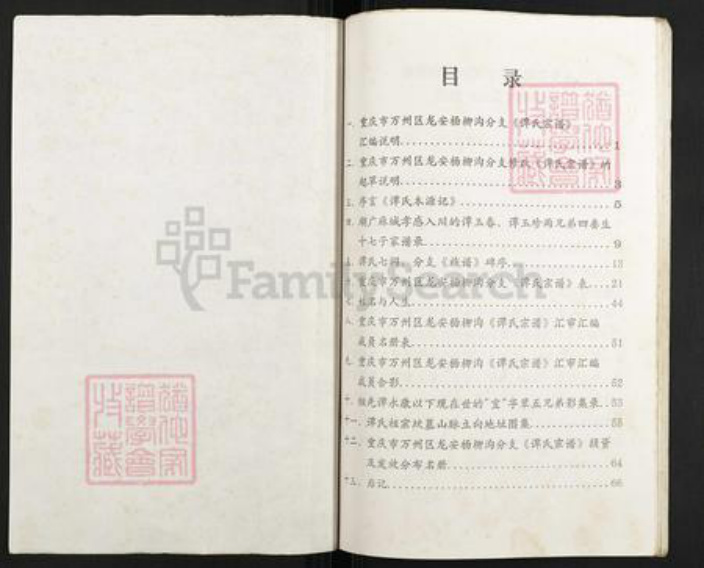 重庆市万州万县龙驹镇谭氏族谱-谭氏宗谱.pdf电子版插图2