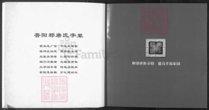 四川省遂宁市大英县唐氏族谱-唐氏族谱.pdf电子版插图2 四川省遂宁市大英县唐氏族谱-唐氏族谱.pdf电子版插图2