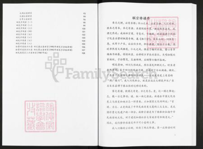 广东省梅州市梅江区长沙镇田氏雁门堂族谱-田氏宗谱.pdf电子版插图2