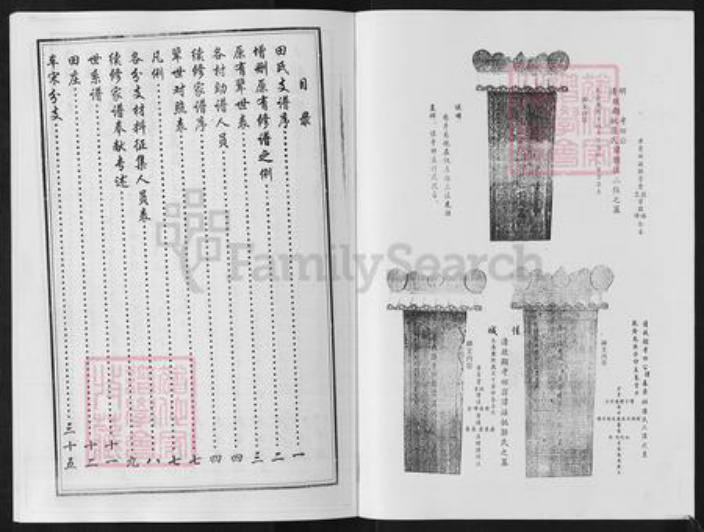 山东省淄博市淄川区田氏族谱-田氏田庄家谱.pdf电子版插图2