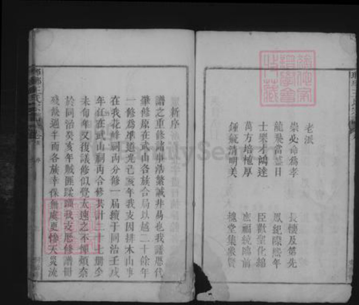 江西省九江市湖口县王氏族谱-琅琊王氏宗谱 [不分卷].pdf电子版插图2