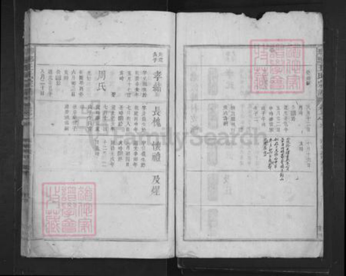 山东省临沂市临沂市王氏族谱-琅琊王氏宗谱.pdf电子版插图2