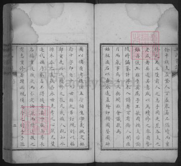 河北省沧州东光县王氏族谱-王氏家谱.pdf电子版插图2