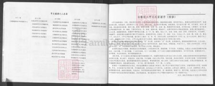 山西省吕梁市柳林县孟门镇王氏族谱-王氏家谱.pdf电子版插图2 山西省吕梁市柳林县孟门镇王氏族谱-王氏家谱.pdf电子版插图2