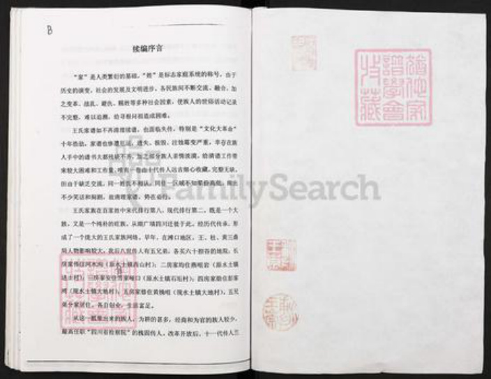 重庆市璧山区王氏善述堂族谱-柯家桥宗祠王氏族谱书.pdf电子版插图2 重庆市璧山区王氏善述堂族谱-柯家桥宗祠王氏族谱书.pdf电子版插图2