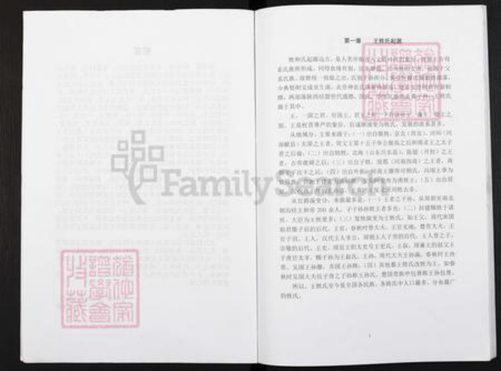 重庆市酆都县王氏三槐堂族谱-重庆市丰都县董家镇蜡烛塘王氏族谱.pdf电子版插图2