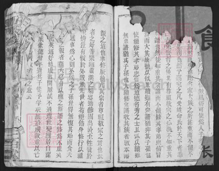 江西省吉安市安福县王氏三白堂族谱-王氏族谱.pdf电子版插图2