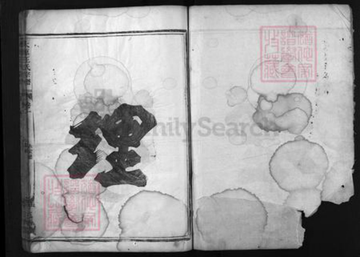 浙江省王氏族谱-太原王氏宗谱 [残卷].pdf电子版插图2