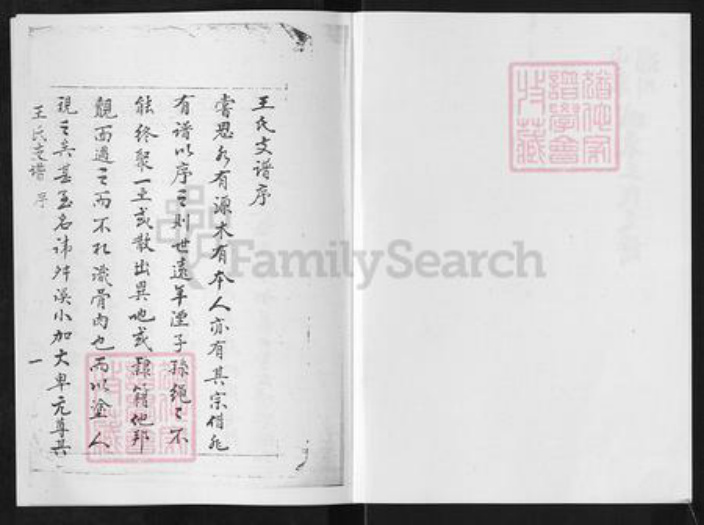 山东省淄博市淄川区王氏族谱-山东淄川城东王氏支谱.pdf电子版插图2 山东省淄博市淄川区王氏族谱-山东淄川城东王氏支谱.pdf电子版插图2