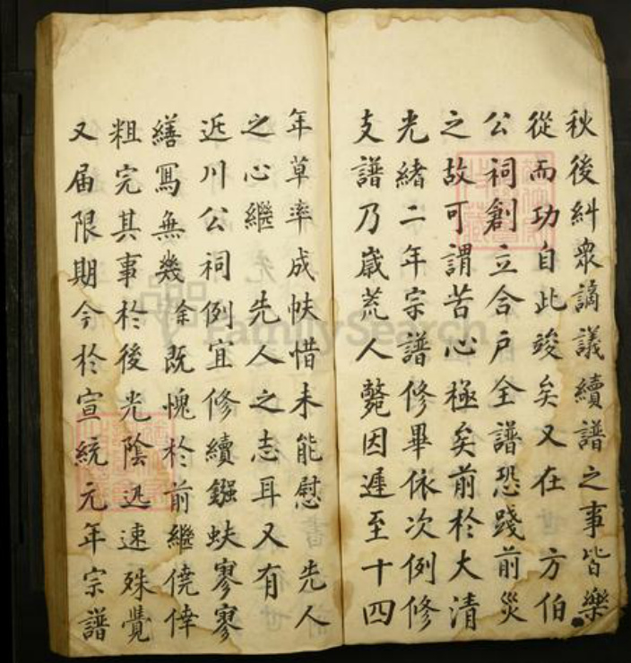 山西省运城市盐湖区山西省运城市闻喜县王氏族谱-西村王氏家乘谱.pdf电子版插图2