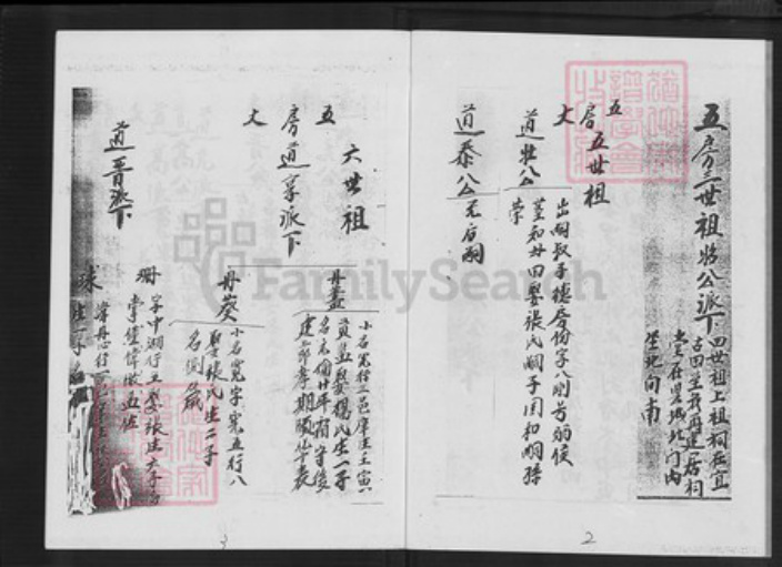 福建省漳州市平和县大溪镇陈氏树德堂族谱-颍川陈氏族谱.pdf电子版插图2 福建省漳州市平和县大溪镇陈氏树德堂族谱-颍川陈氏族谱.pdf电子版插图2