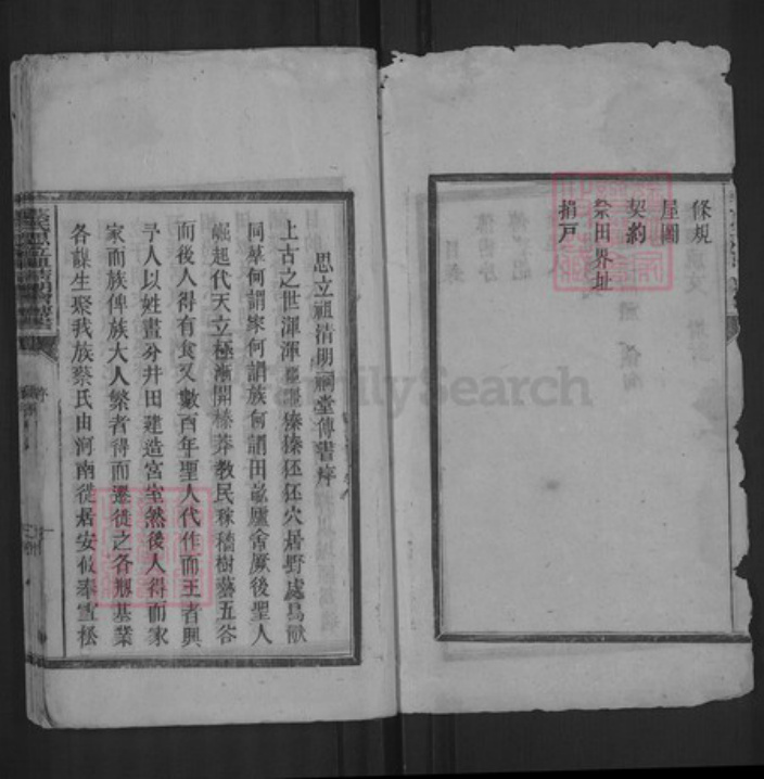 湖南省益阳市蔡氏族谱-蔡氏思立祖清明会传书.pdf电子版插图2