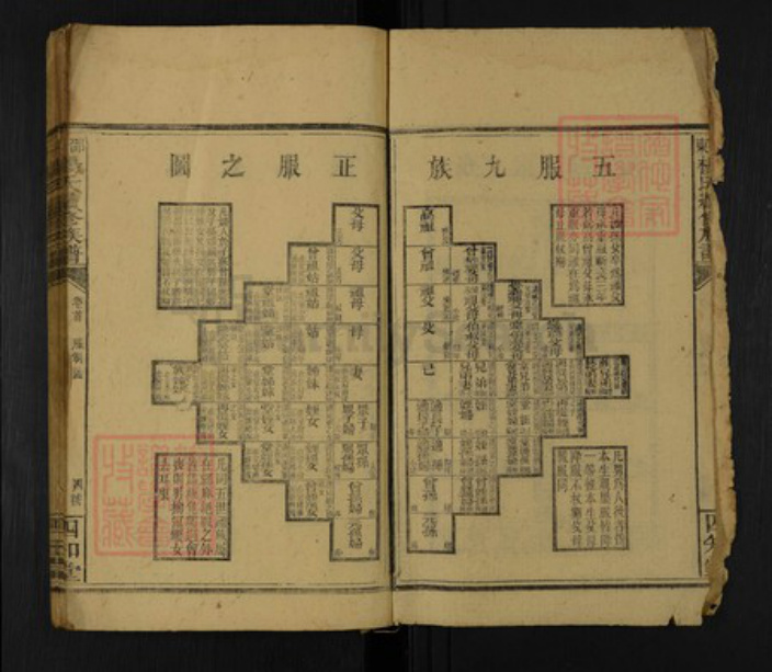 湖南省邵阳市邵东杨氏四知堂族谱-邵东杨氏续修族谱.pdf电子版插图2 湖南省邵阳市邵东杨氏四知堂族谱-邵东杨氏续修族谱.pdf电子版插图2