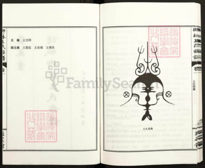 山东省潍坊市诸城市皇华镇王氏益友堂族谱-诸城柳林王氏族谱.pdf电子版插图2