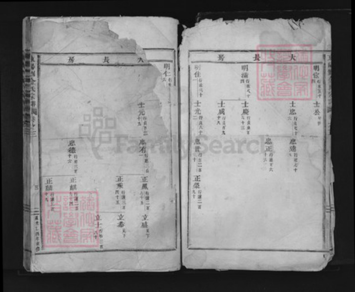 浙江省金华市东阳市东阳浙江省金华市东阳市刘；金氏族谱-东阳刘金氏宗谱.pdf电子版插图2