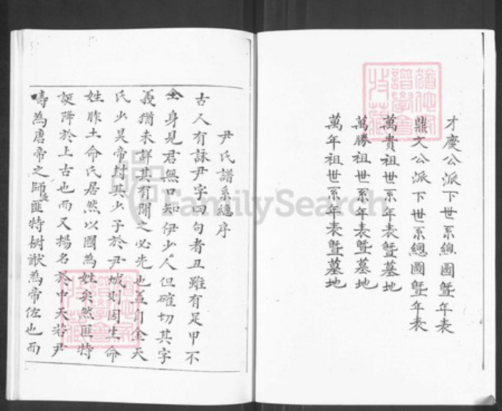 四川省遂宁市尹氏族谱-尹氏族谱.pdf电子版插图2