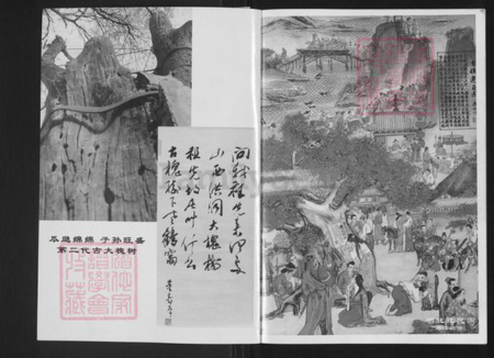 山西省临汾市洪洞县张；张氏族谱-洪桐大槐树百姓家谱.张氏家谱.pdf电子版插图2