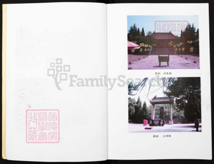 湖南省永州市湖南省永州市谢；谢氏宝树堂族谱-谢氏周保公宗谱.pdf电子版插图2