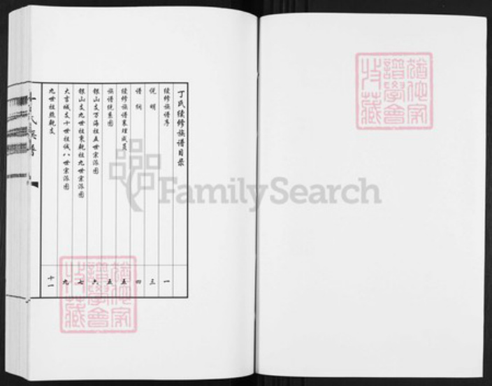 山东省济宁市梁山县丁氏族谱-丁氏族谱.pdf电子版插图2