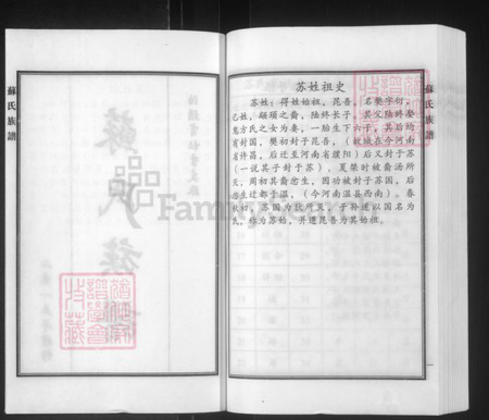 河北省沧州泊头市泊镇镇苏氏族谱-苏氏族谱.pdf电子版插图2