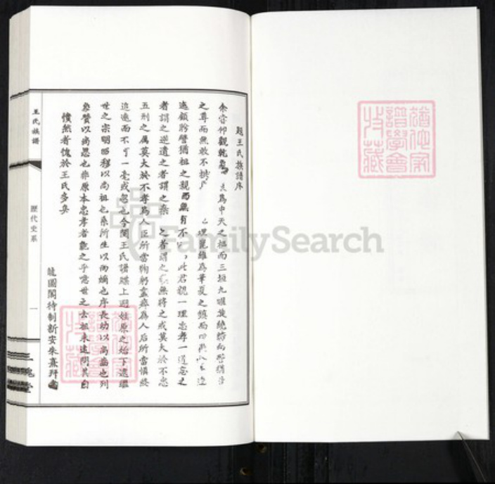 江西省九江市德安县王氏三槐堂族谱-王氏族谱.pdf电子版插图2