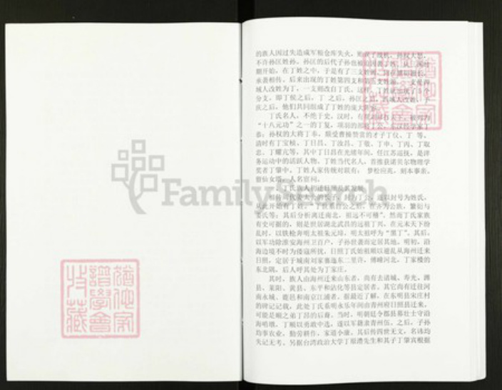 山东省日照市丁氏族谱-丁氏族谱.pdf电子版插图2