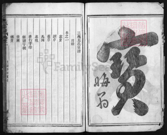 浙江省王氏族谱-三槐王氏宗谱 [2卷].pdf电子版插图2