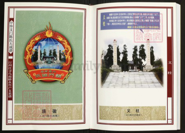 江西省赣州市寻乌县南桥镇陈氏族谱-中华义门陈氏大成谱汀州庄寻乌南桥永兴户支系谱.pdf电子版插图2