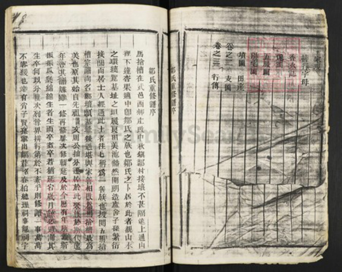 浙江省金华市武义县邹氏族谱-武义邹氏宗谱.pdf电子版插图2