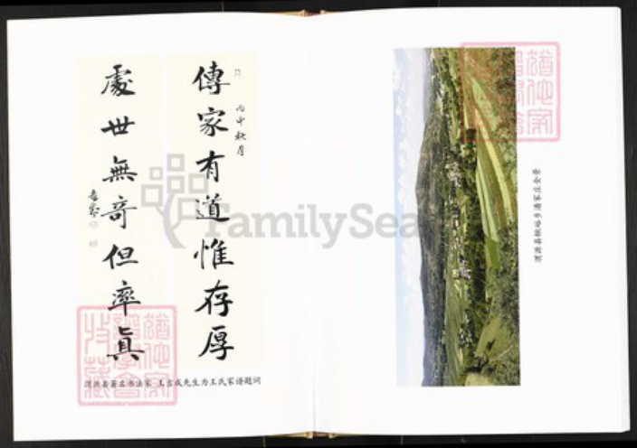 甘肃省定西市渭源县王氏族谱-王氏家谱.pdf电子版插图2