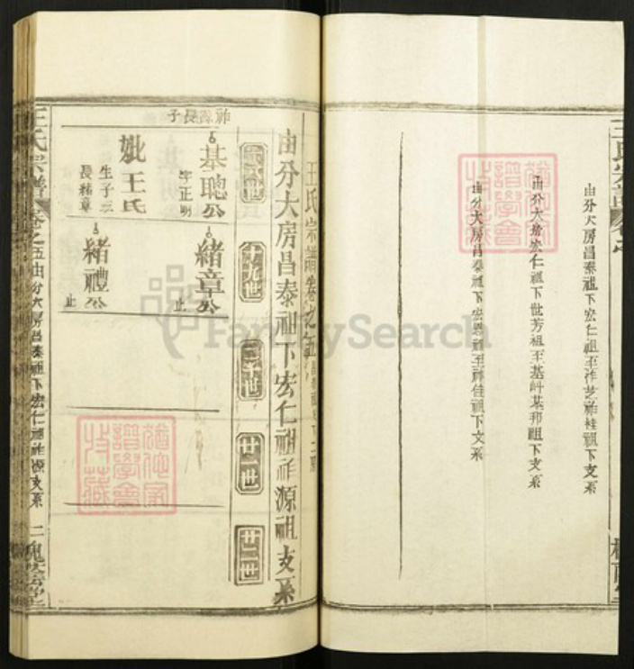 江西省宜春市王氏族谱-王氏宗谱.pdf电子版插图2