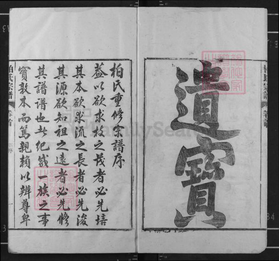 河北省邢台临城县柏氏族谱-临城柏氏宗谱.pdf电子版插图2