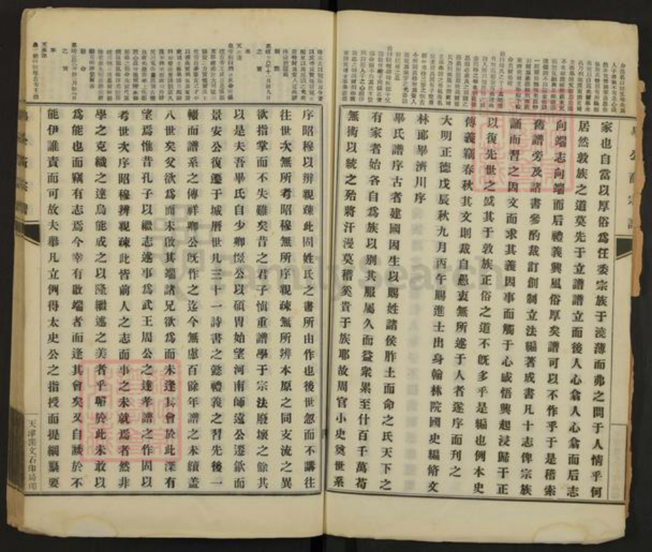 河南省洛阳市偃师市毕氏族谱-毕公裔宗谱.pdf电子版插图2