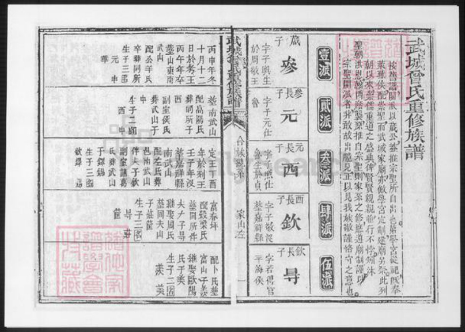 山东省曾氏族谱-武城曾氏重修族谱.pdf电子版插图2