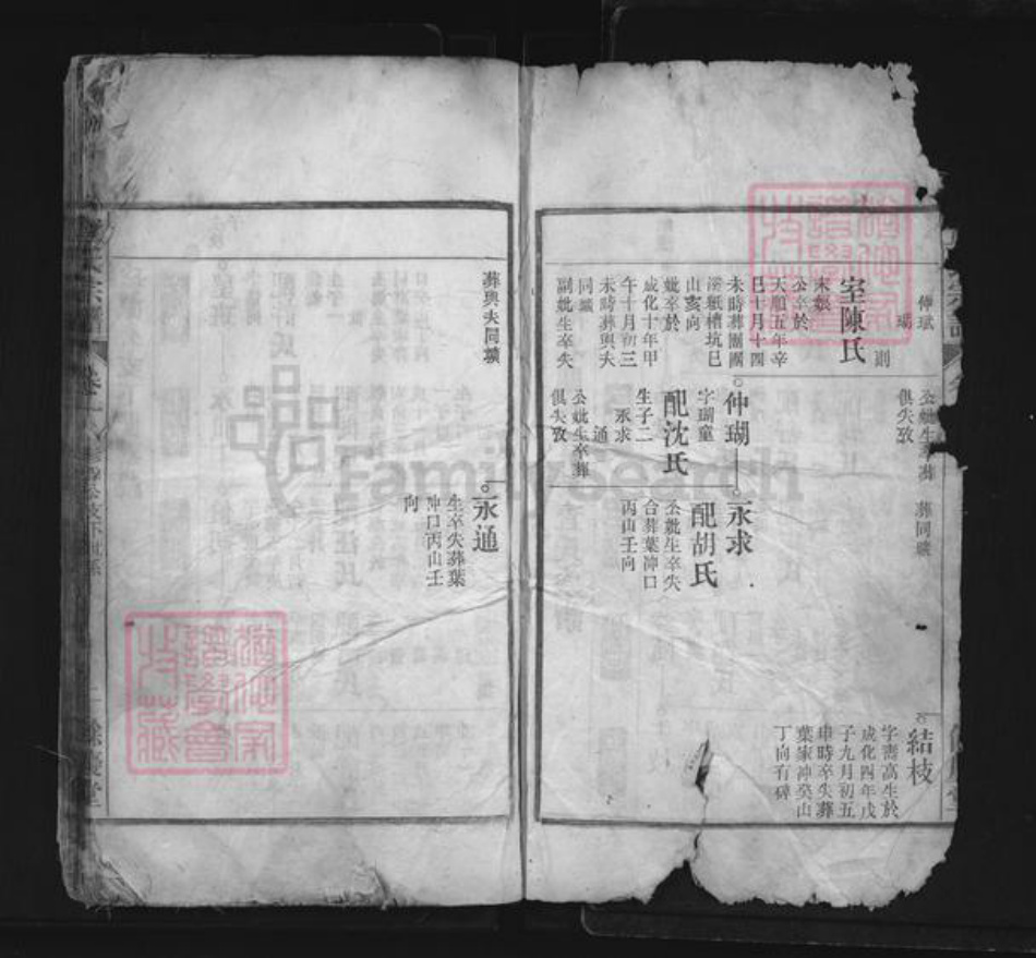 安徽省池州市贵池区查氏余庆堂族谱-查氏宗谱.pdf电子版插图2 安徽省池州市贵池区查氏余庆堂族谱-查氏宗谱.pdf电子版插图2