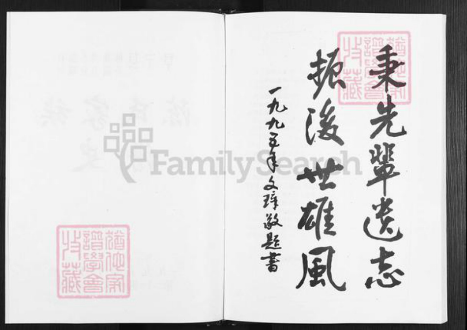 江苏省盐城市阜宁县陈集镇陈氏族谱-陈氏家谱.pdf电子版插图2