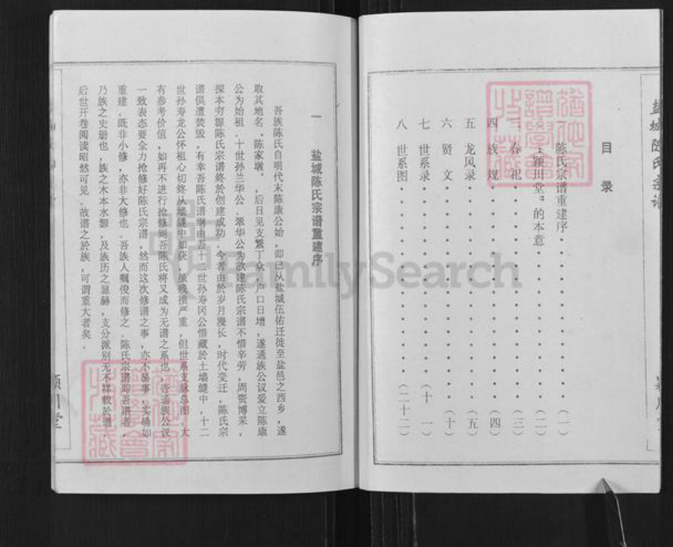 江苏省盐城市建湖县陈氏颖川堂族谱-盐城陈氏宗谱.pdf电子版插图2