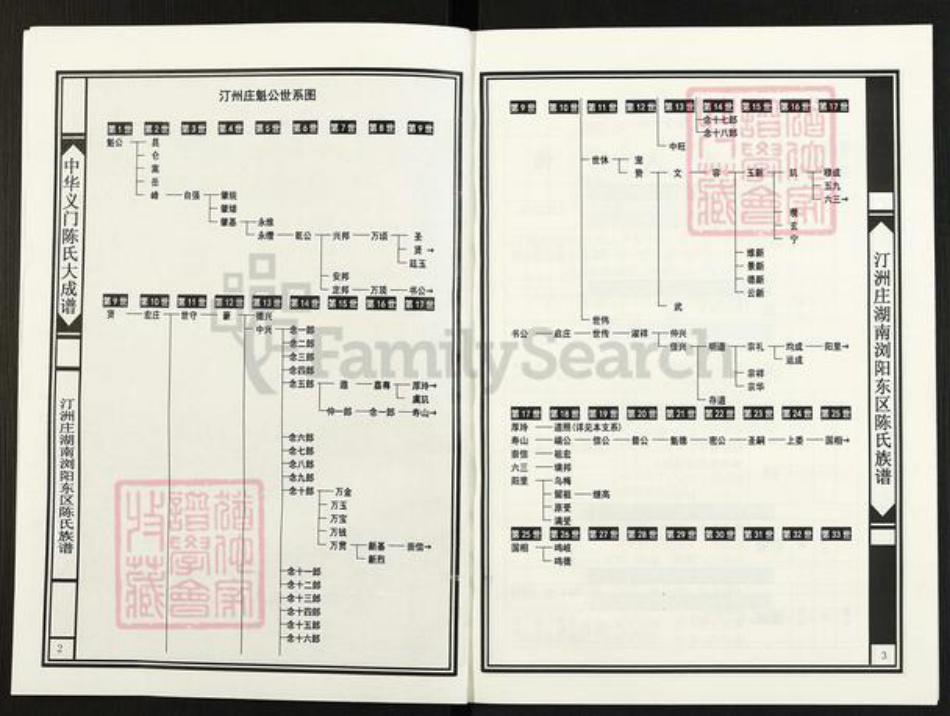 湖南省长沙市浏阳市官渡镇陈氏族谱-中华义门陈氏大成谱.汀州庄湖南浏阳东区陈氏族谱.浏东达浒里佳洞道照支系.pdf电子版插图2