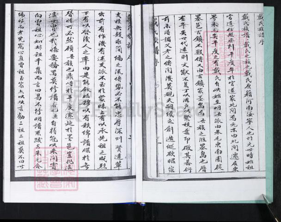 山东省青岛市崂山区戴氏族谱-大麦岛戴氏族谱.pdf电子版插图2