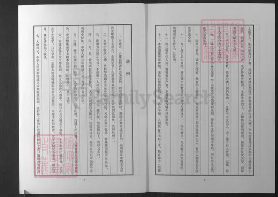 山东省烟台市招远市罗峰街道丁氏族谱-招远丁家庄子丁氏族谱.pdf电子版插图2
