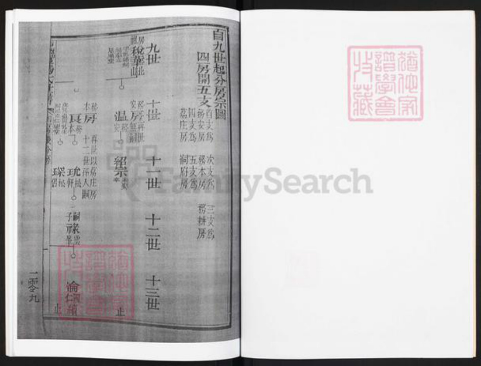 广东省云浮市罗定市龙湾镇冯氏凝福堂族谱-龙湾冯氏世谱.pdf电子版插图2