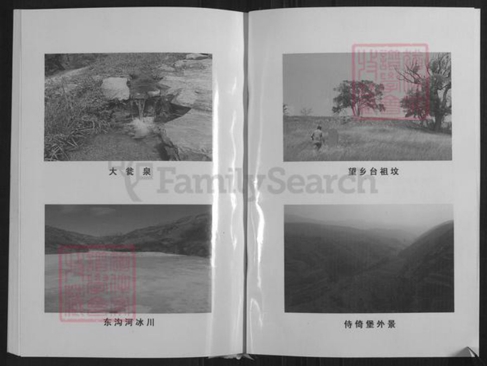 山西省忻州市繁峙县高氏族谱-高氏家谱.pdf电子版插图2