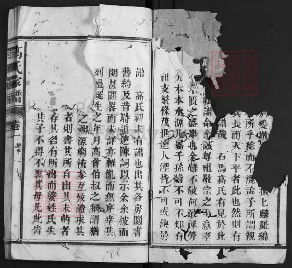 福建省三明市永安市贡川镇高氏族谱-高氏家谱.pdf电子版插图2