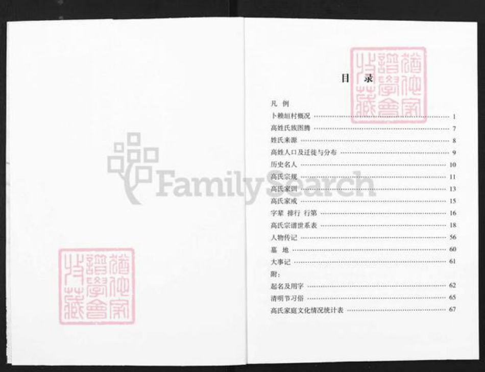 山西省吕梁市柳林县穆村镇高氏族谱-高氏家谱.pdf电子版插图2