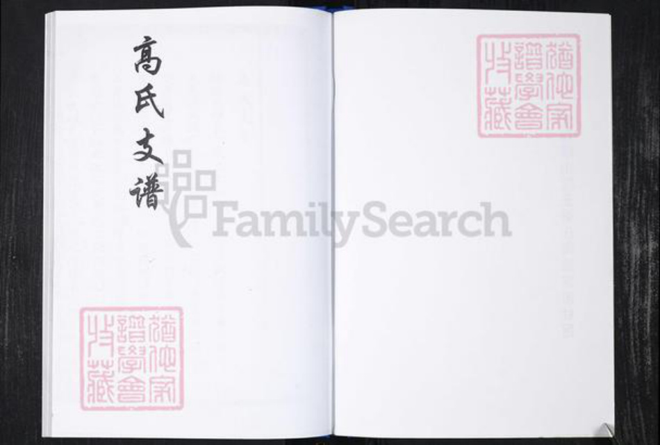 山东省青岛市崂山区高氏族谱-常家社区高氏支族谱二支(老谱).pdf电子版插图2